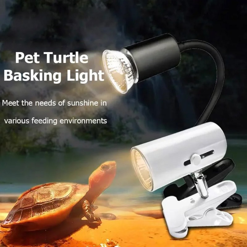 Multi-use Pet Basking Heat Lam - مراجعة Calcium Powder Reptile وسعره
