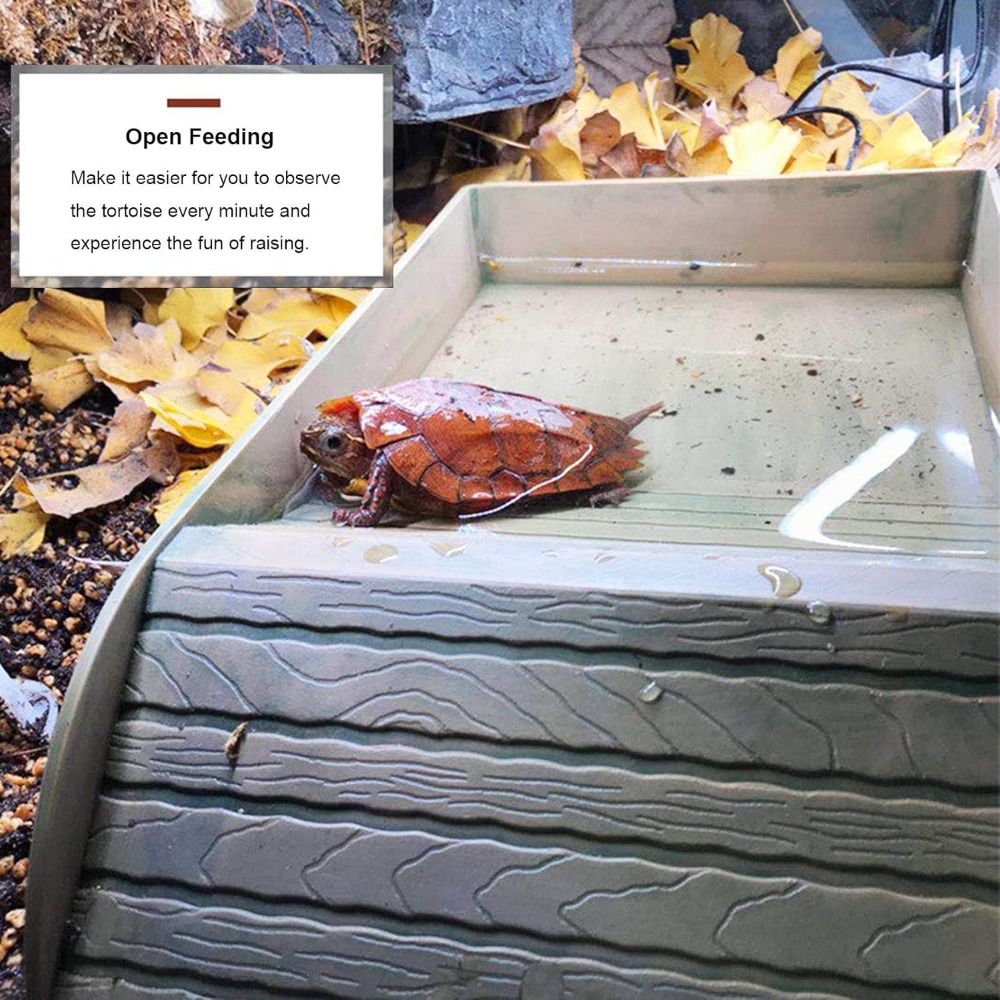 Turtle Bathing Pool Feeding Di - مراجعة Water Dish Reptile وسعره
