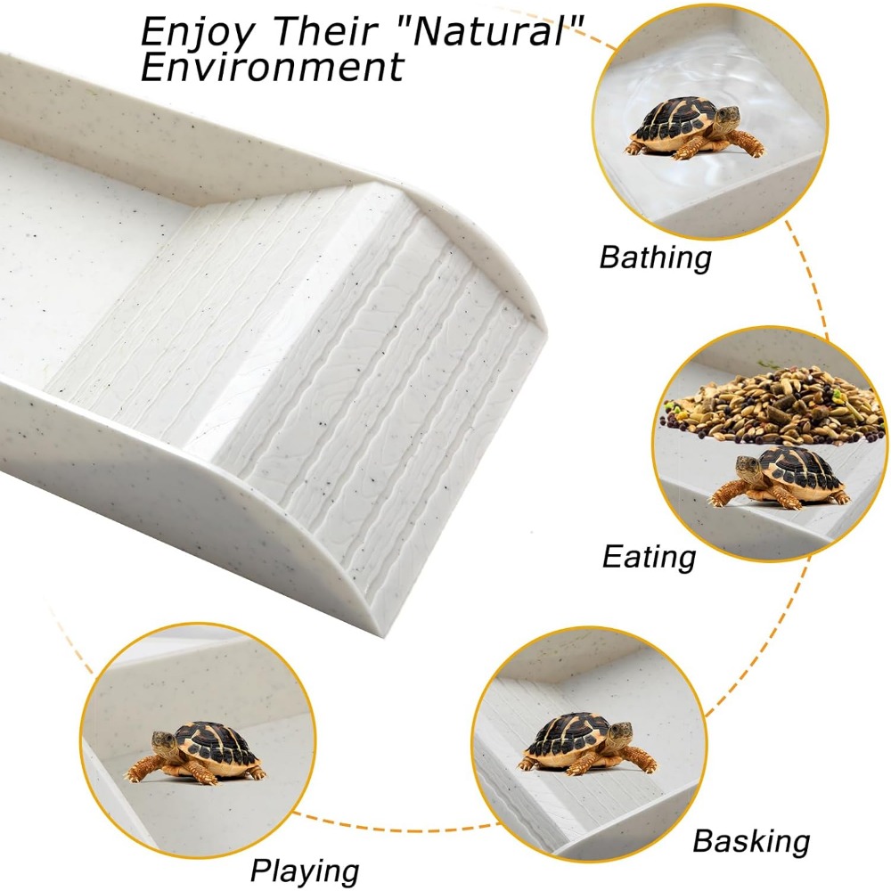 Turtle Bathing Pool Feeding Di - مراجعة Water Dish Reptile وسعره