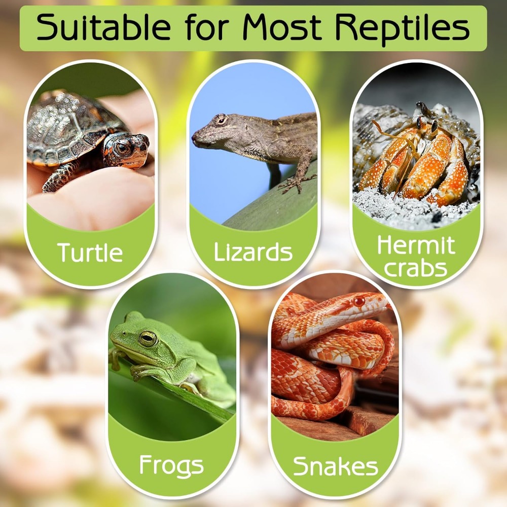 Turtle Bathing Pool Feeding Di - مراجعة Water Dish Reptile وسعره