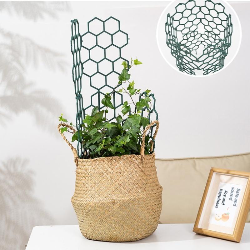 1/5Pcs Honeycomb Design Plant  - مراجعة Vine Climbing Plastic وسعره