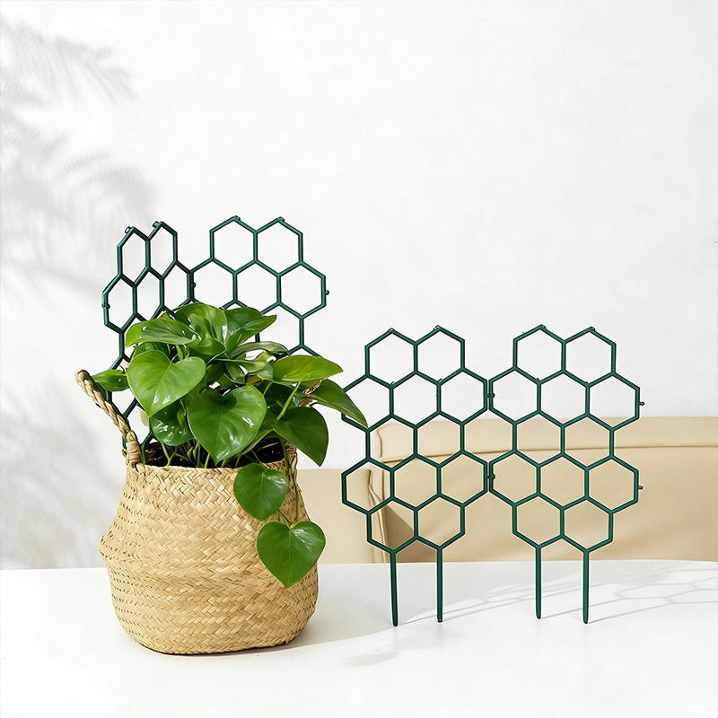 1/5Pcs Honeycomb Design Plant  - مراجعة Vine Climbing Plastic وسعره