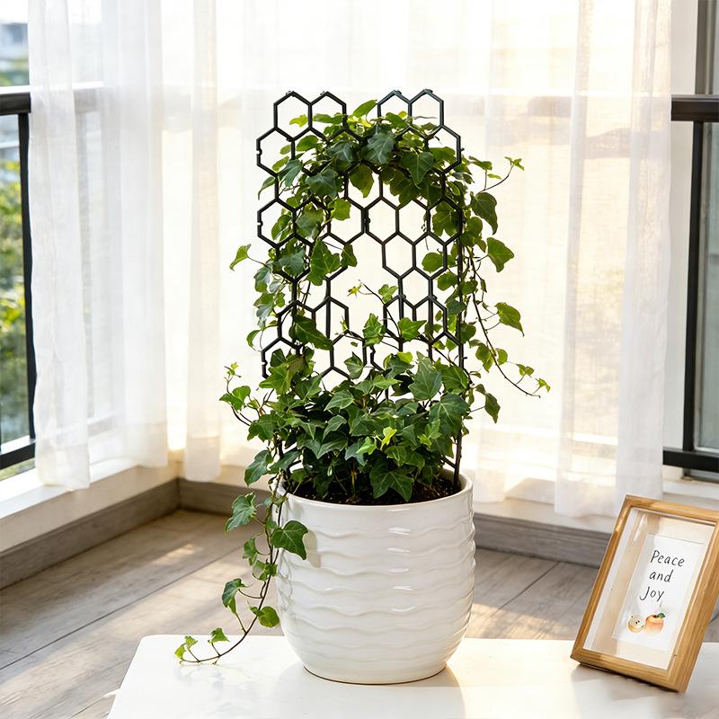 1/5Pcs Honeycomb Design Plant  - مراجعة Vine Climbing Plastic وسعره