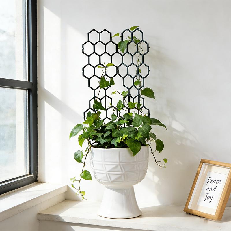 1/5Pcs Honeycomb Design Plant  - مراجعة Vine Climbing Plastic وسعره
