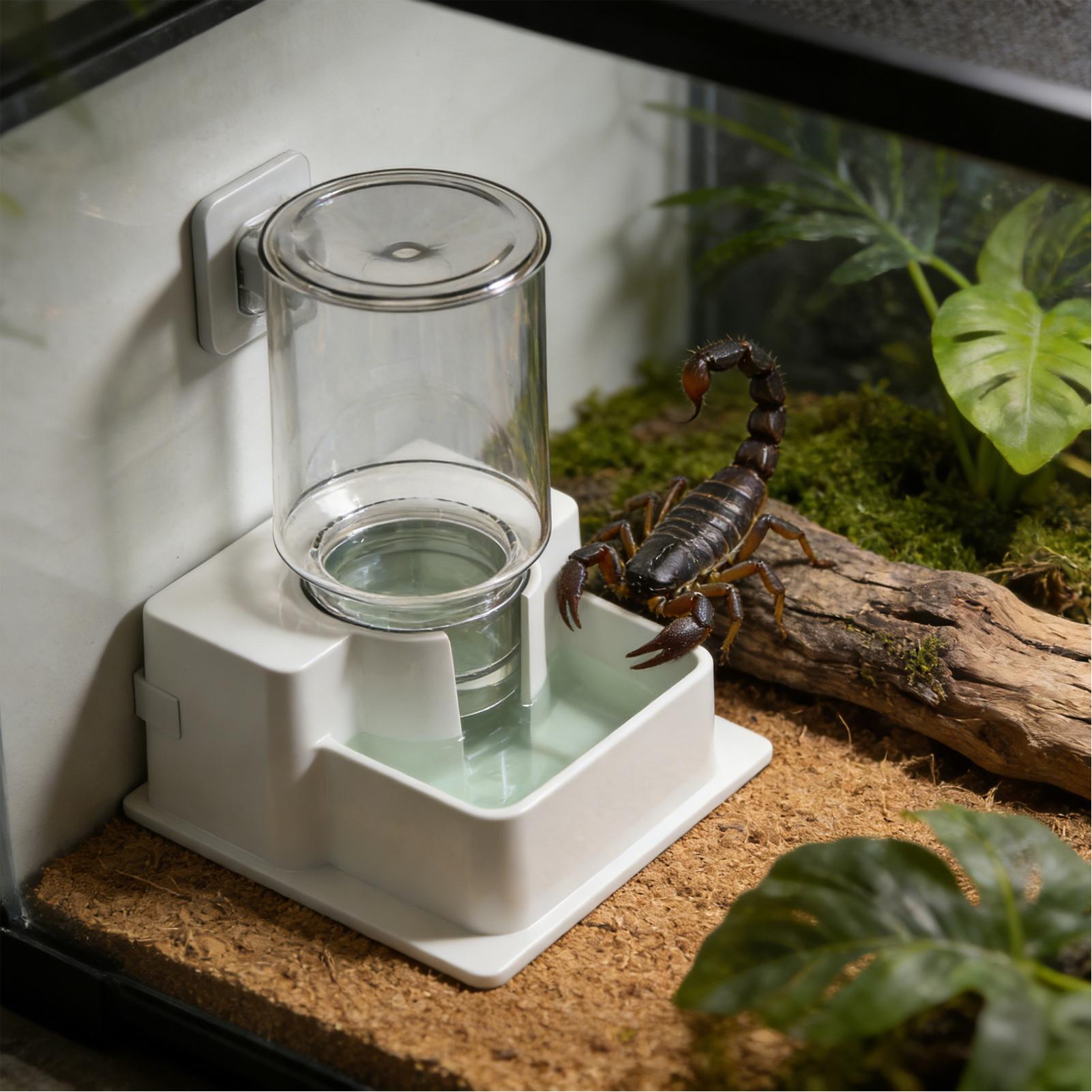 Bearded Dragon Water Fountain  - مراجعة Water Dish Reptile وسعره