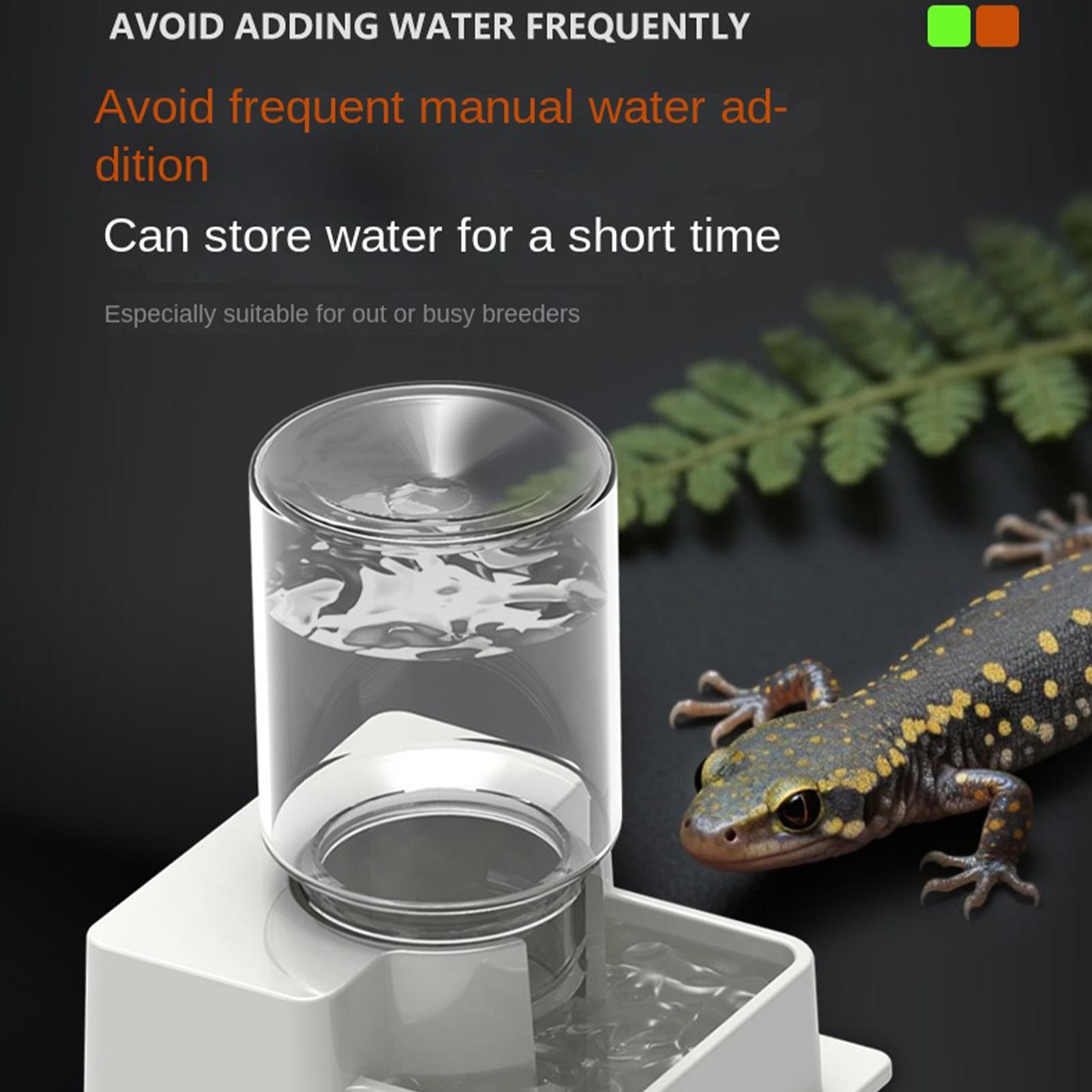 Bearded Dragon Water Fountain  - مراجعة Water Dish Reptile وسعره