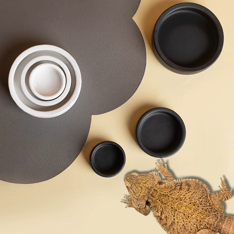 HOT! Reptile Food Bowl Anti-Es - مراجعة Water Dish Reptile وسعره