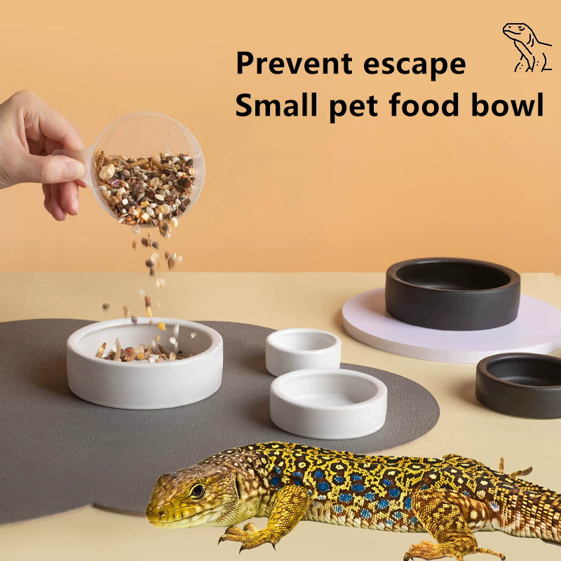 HOT! Reptile Food Bowl Anti-Es - مراجعة Water Dish Reptile وسعره