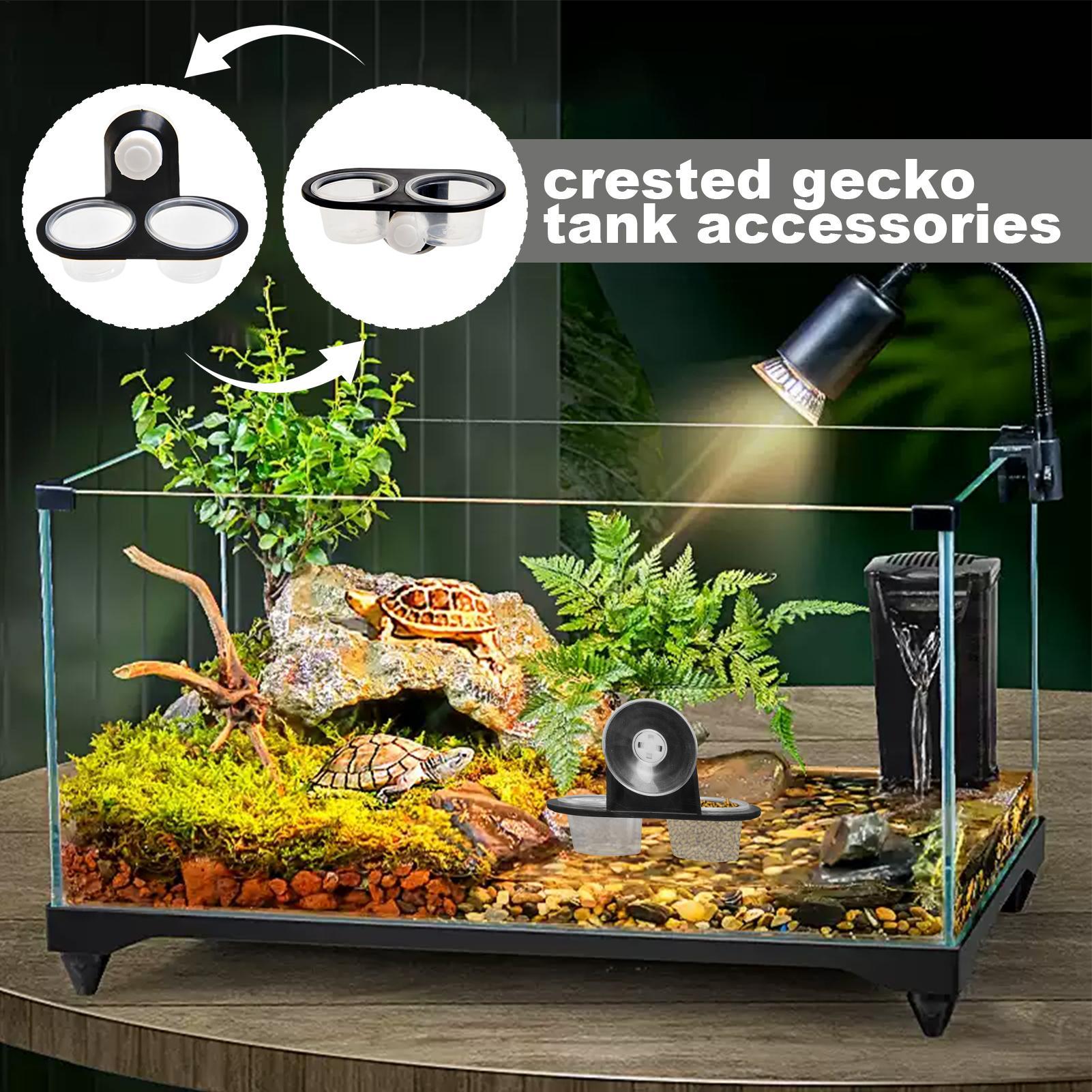 Gecko Feeder Ledge with Detach - مراجعة Water Dish Reptile وسعره