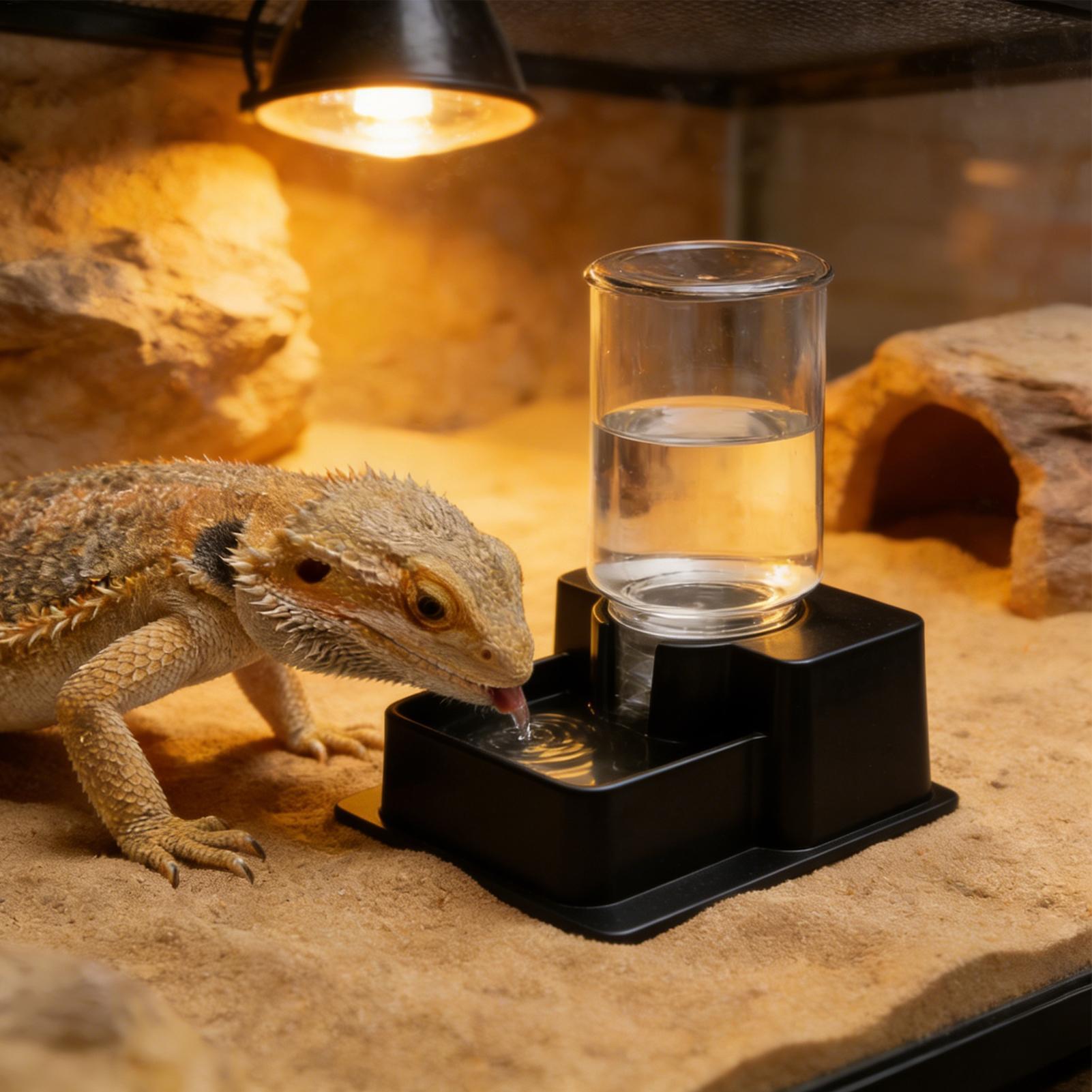 Bearded Dragon Water Fountain  - مراجعة Water Dish Reptile وسعره