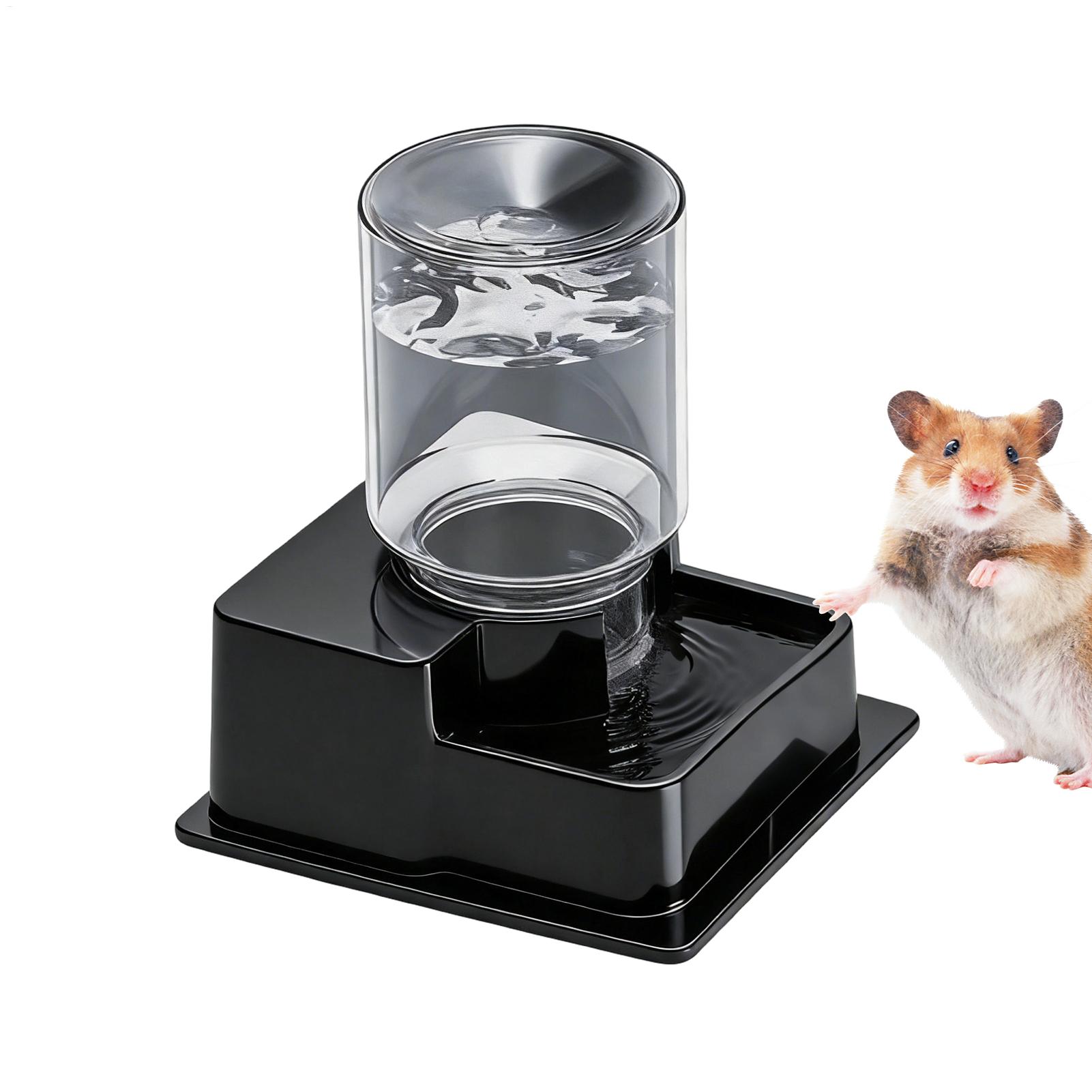 Bearded Dragon Water Fountain  - مراجعة Water Dish Reptile وسعره