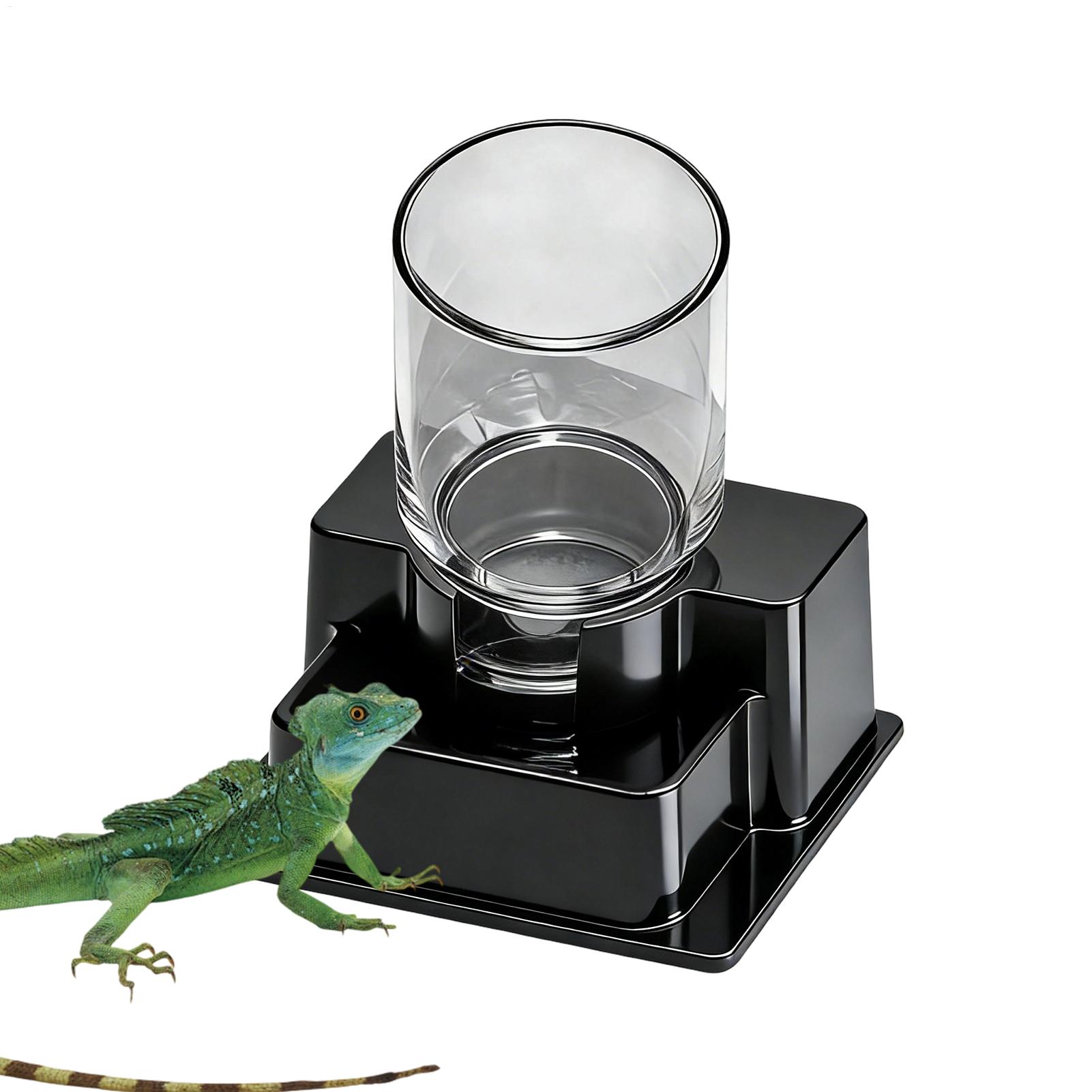Bearded Dragon Water Fountain  - مراجعة Water Dish Reptile وسعره