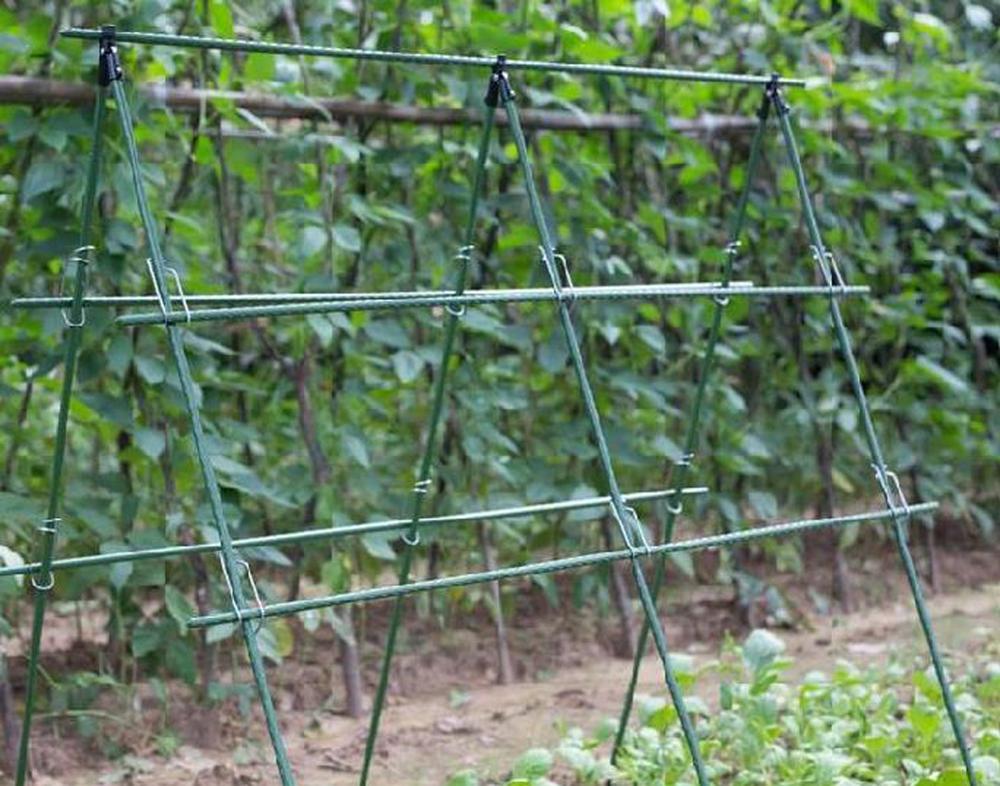 Diameter 8/11/16mm Plant Suppo - مراجعة Vine Climbing Plastic وسعره