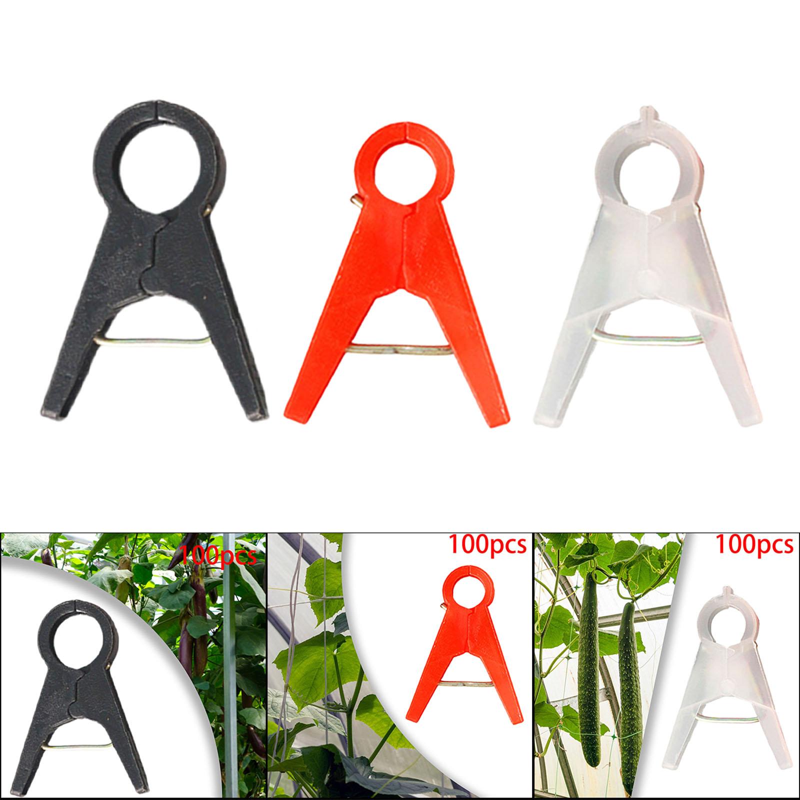 100Pcs Garden Plant Support Cl - مراجعة Vine Climbing Plastic وسعره