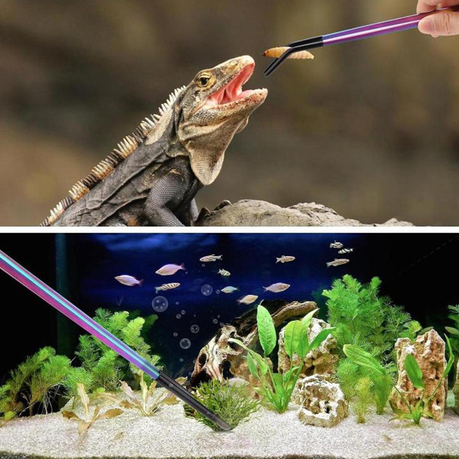 Reptile Feeder Tongs Soft Sili - مراجعة Feeding Tong Stainless وسعره