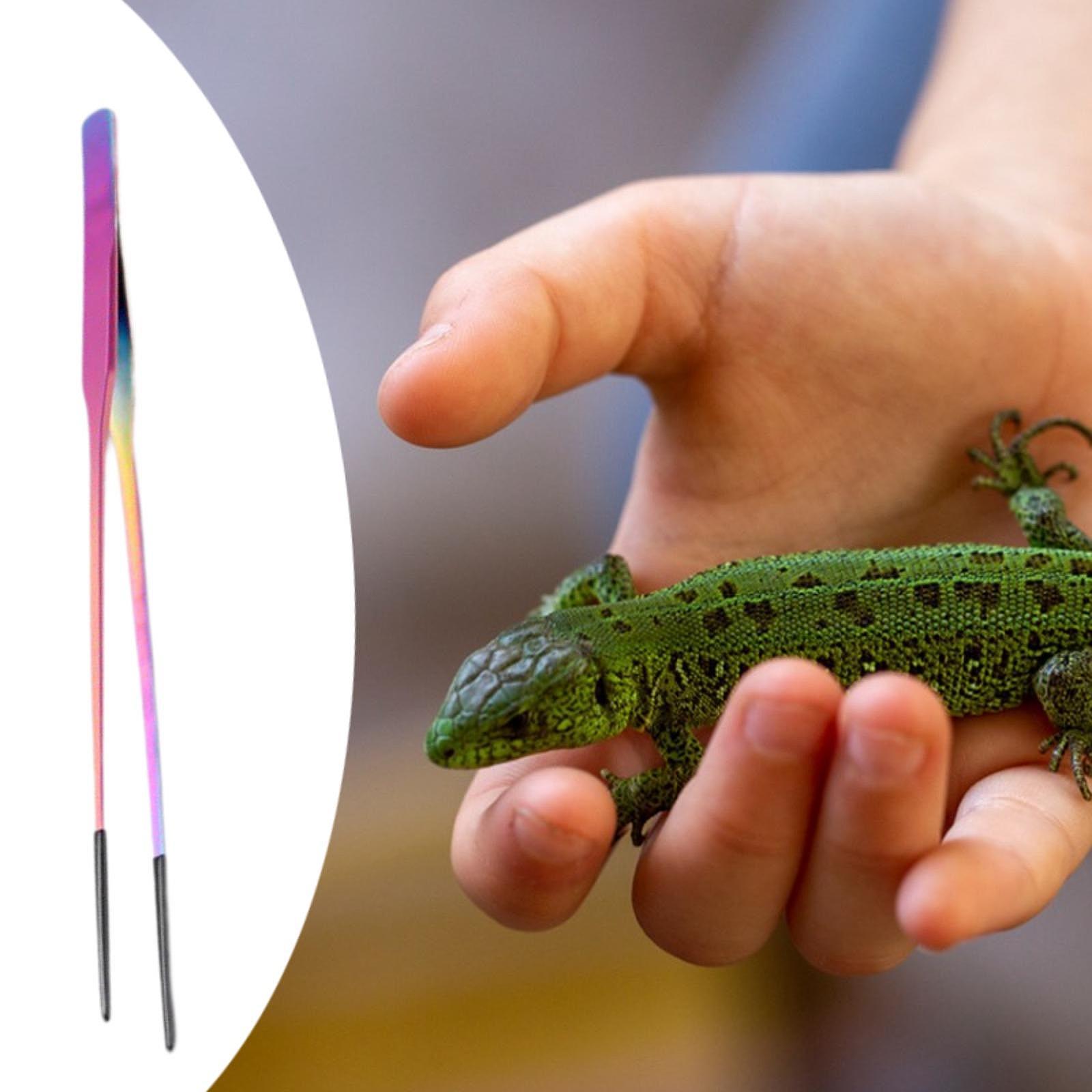 Reptile Feeder Tongs Soft Sili - مراجعة Feeding Tong Stainless وسعره