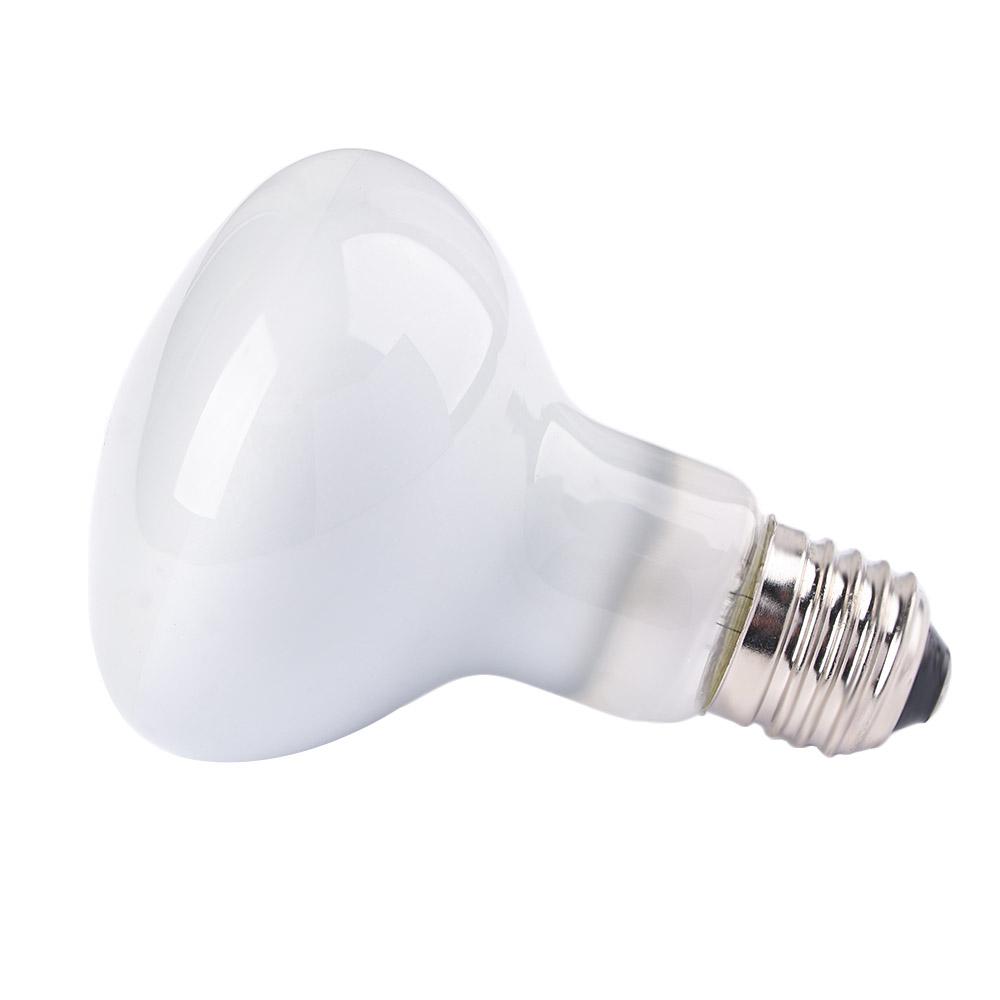 Turtle Temperature Controller  - مراجعة Basking Bulb Halogen وسعره