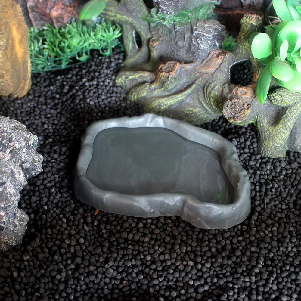 ABS Resin Reptile Feeder Bowl  - مراجعة Water Dish Reptile وسعره