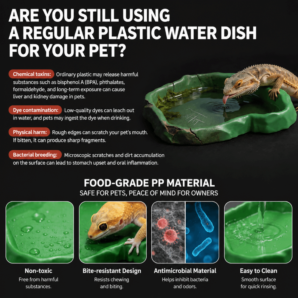 ABS Resin Reptile Feeder Bowl  - مراجعة Water Dish Reptile وسعره