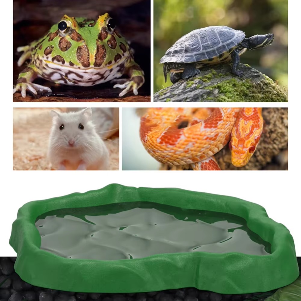 ABS Resin Reptile Feeder Bowl  - مراجعة Water Dish Reptile وسعره