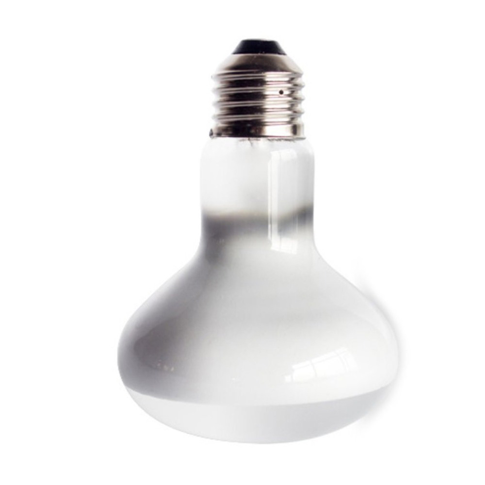 Lizard Heater Temperature Cont - مراجعة Basking Bulb Halogen وسعره
