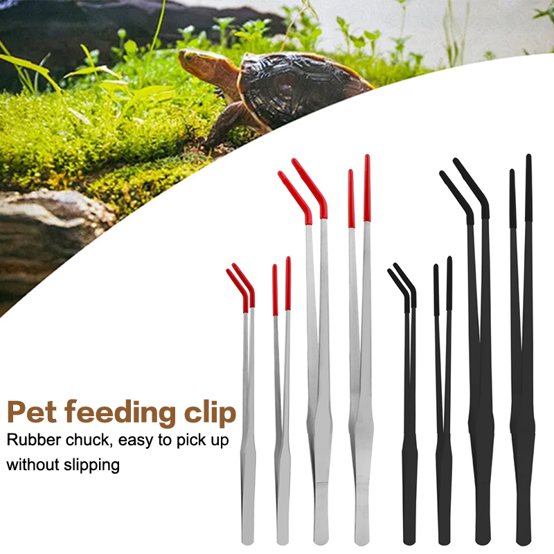 Stainless Steel Reptile Feedin - مراجعة Feeding Tong Stainless وسعره