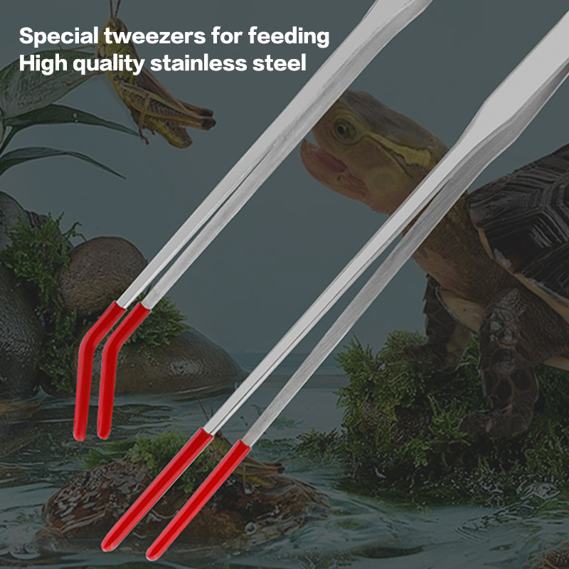 Stainless Steel Reptile Feedin - مراجعة Feeding Tong Stainless وسعره