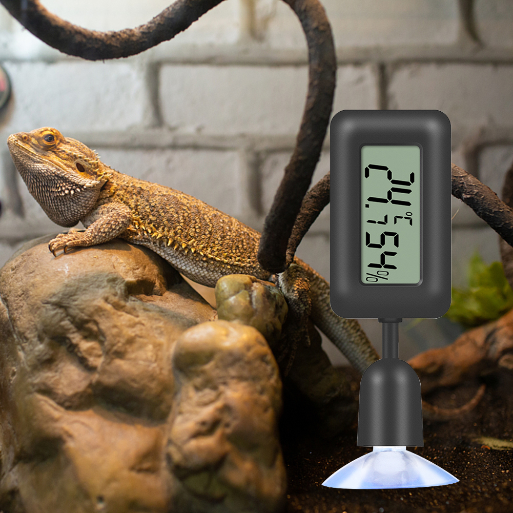 Reptile Thermometer Hygrometer - مراجعة Digital Hygrometer Probe وسعره
