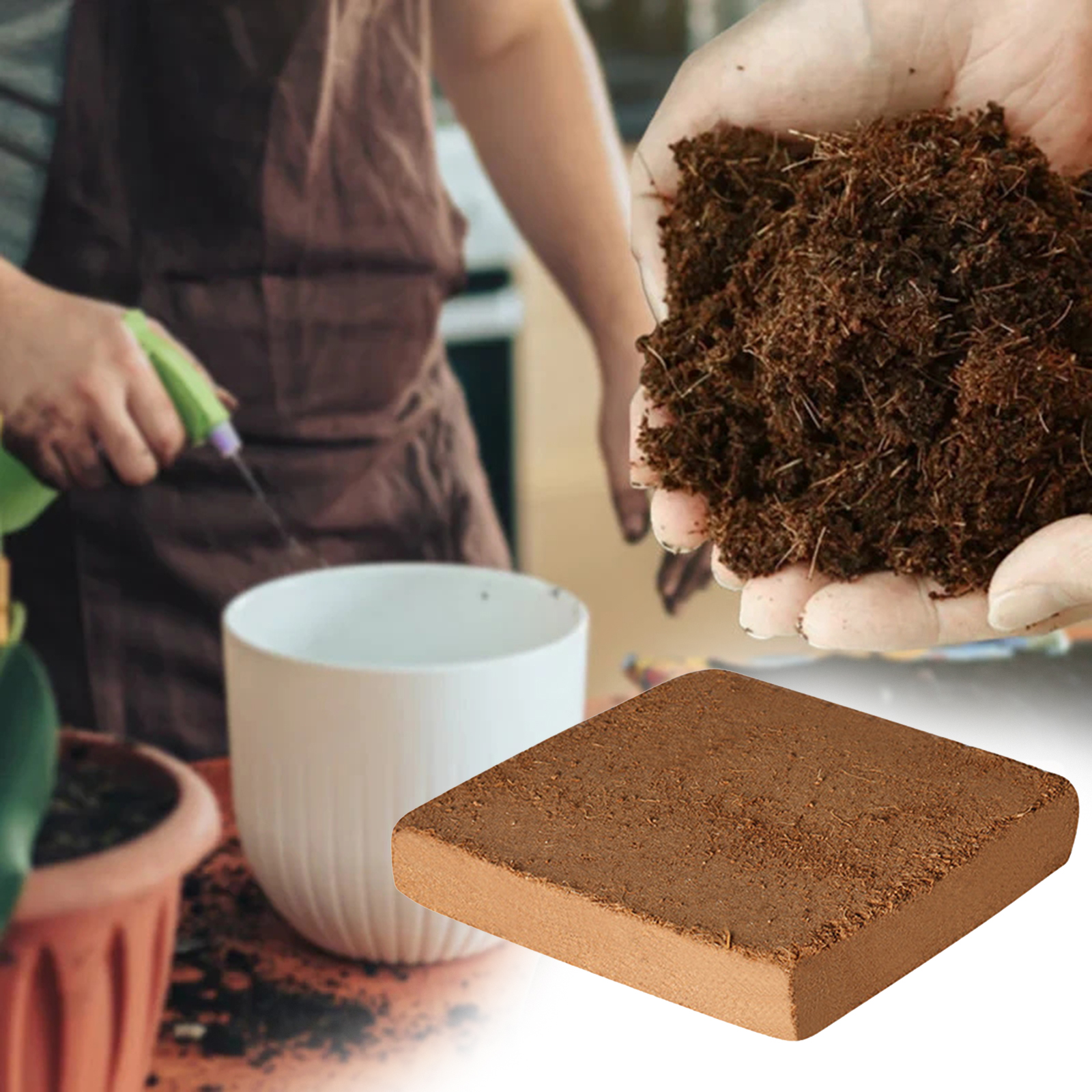 Soil Coconut Fibre Terrarium S - مراجعة Substrate Coconut Fiber وسعره