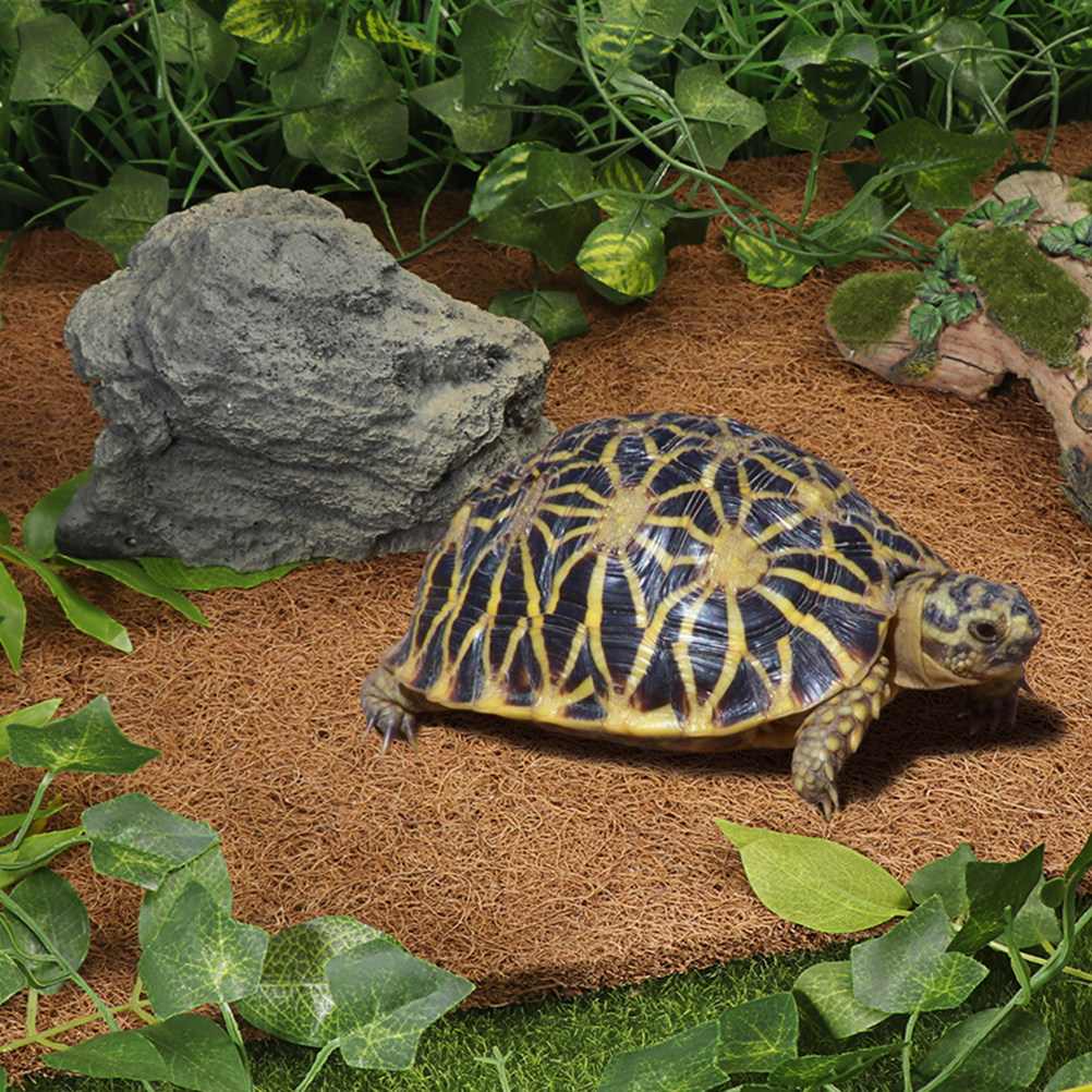 Natural Coconut Fiber Reptile  - مراجعة Substrate Coconut Fiber وسعره