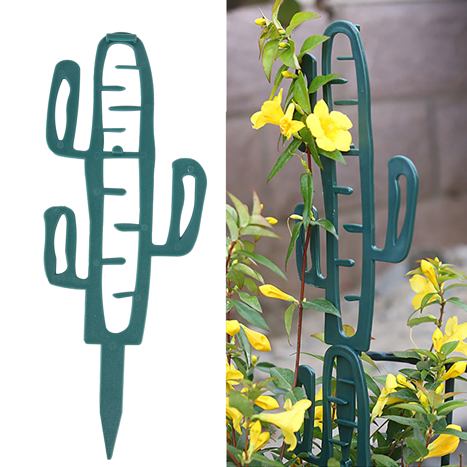Plant Climbing Support Stand F - مراجعة Vine Climbing Plastic وسعره