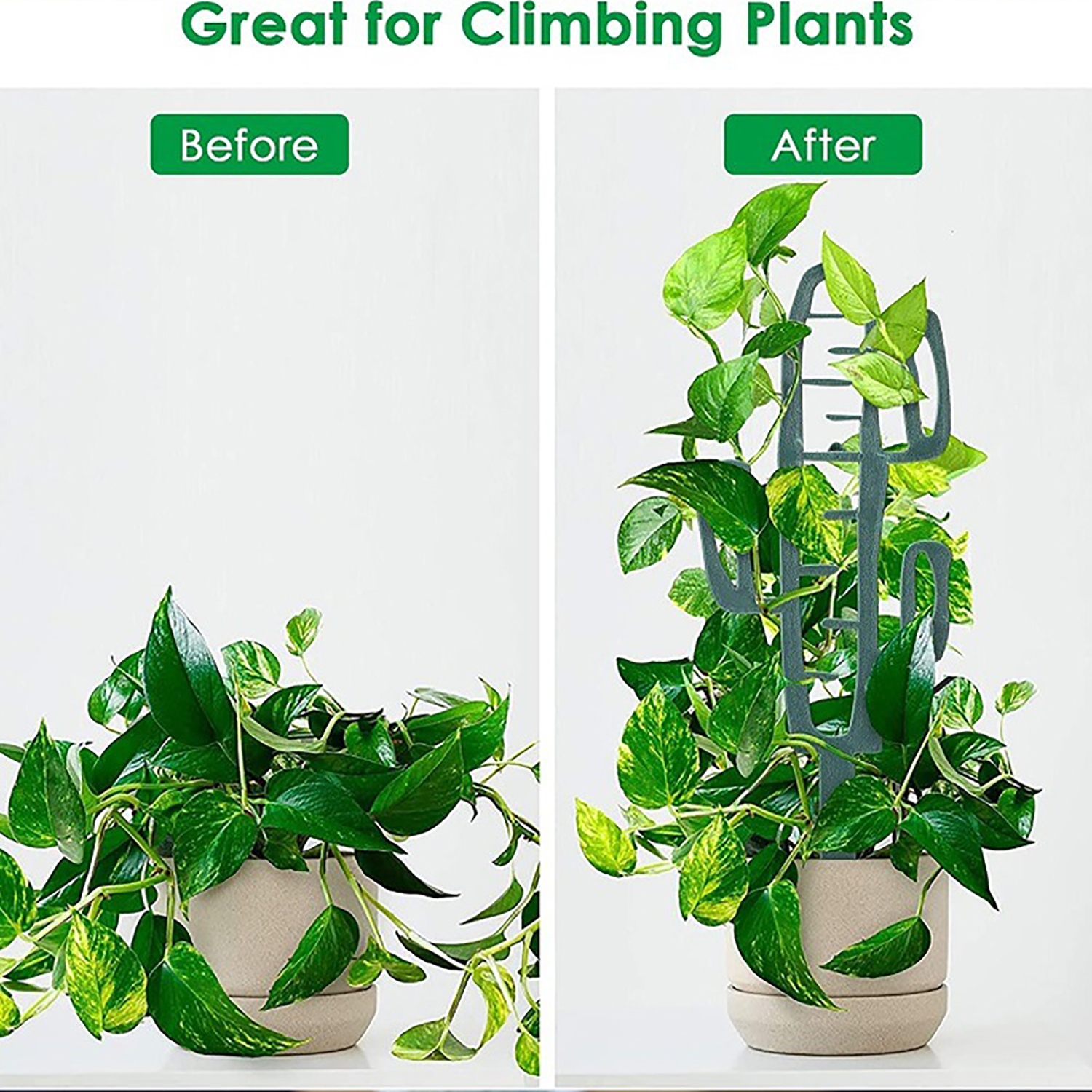 Plant Climbing Support Stand F - مراجعة Vine Climbing Plastic وسعره