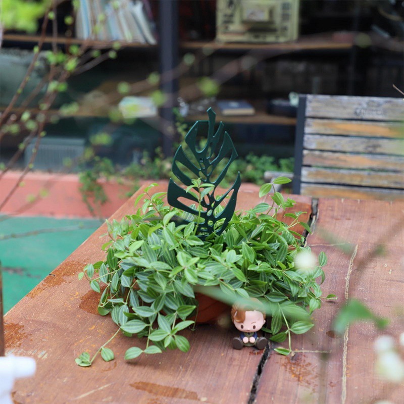 Plant Climbing Support Stand F - مراجعة Vine Climbing Plastic وسعره