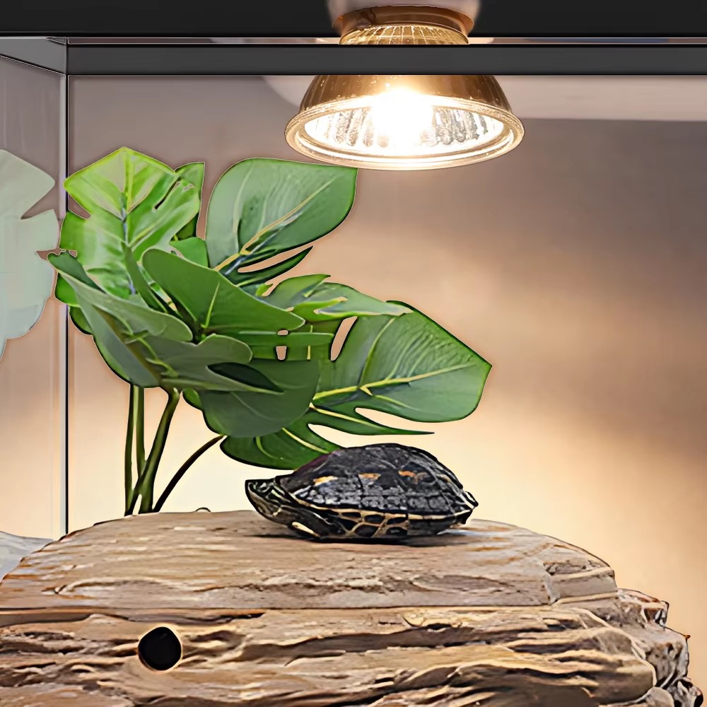 25W/75W/100W Full Spectrum UVA - مراجعة Calcium Powder Reptile وسعره