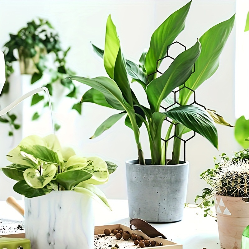 1PC Honeycomb Design Plant Tre - مراجعة Vine Climbing Plastic وسعره