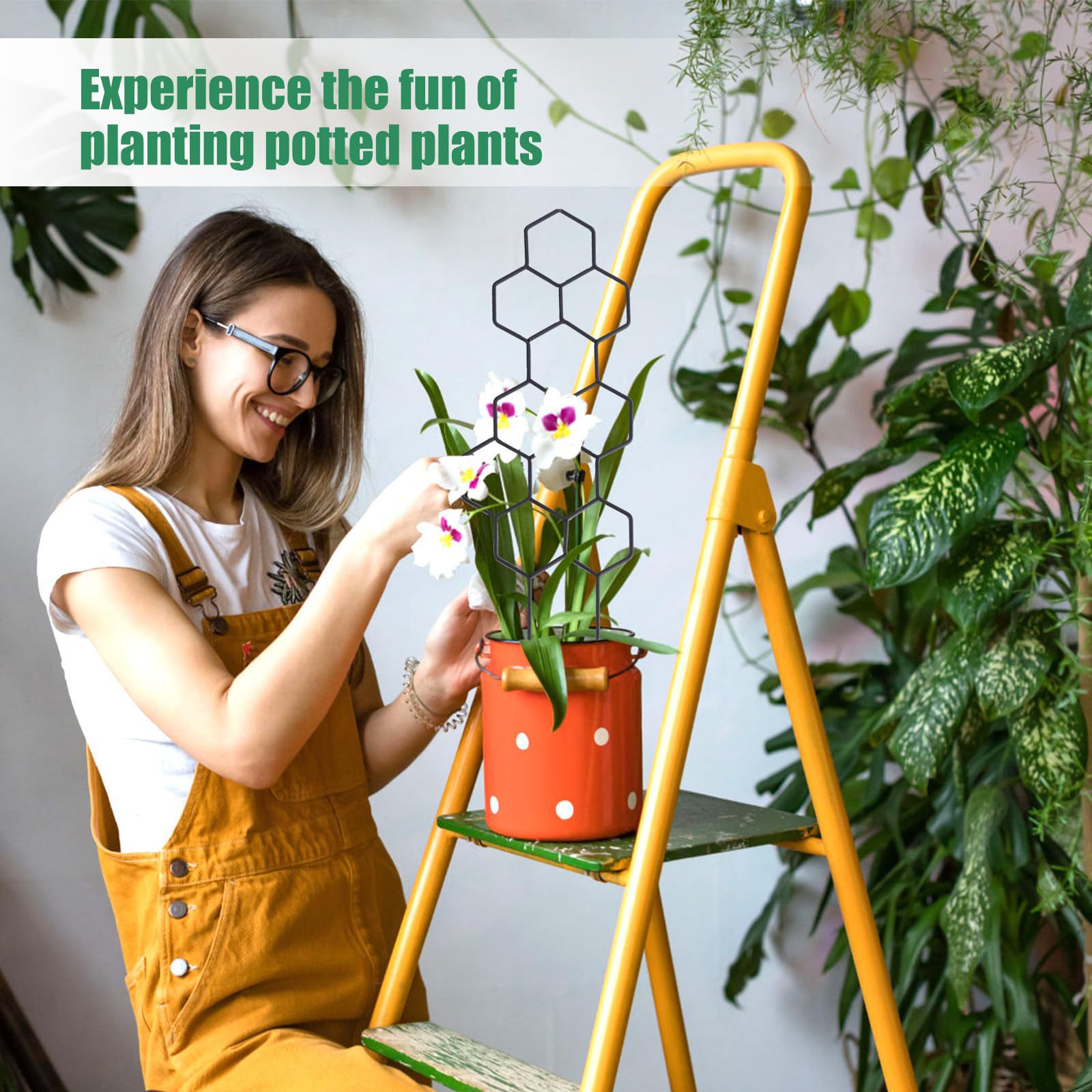 1PC Honeycomb Design Plant Tre - مراجعة Vine Climbing Plastic وسعره