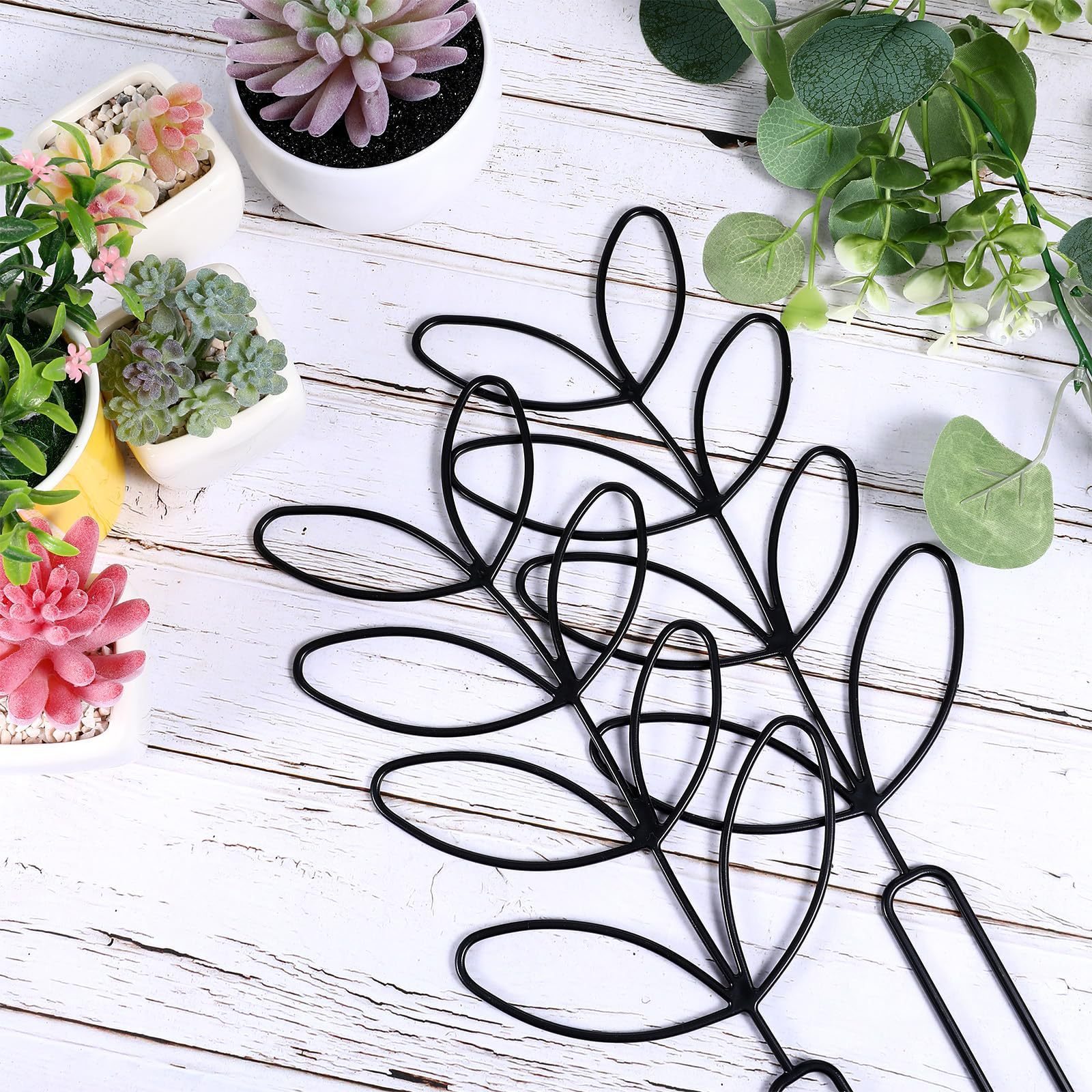 1PC Honeycomb Design Plant Tre - مراجعة Vine Climbing Plastic وسعره