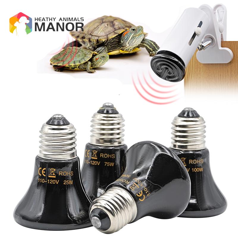 Pet Heating Lamp Lizard Tortoi - مراجعة Ceramic Heat Emitter وسعره