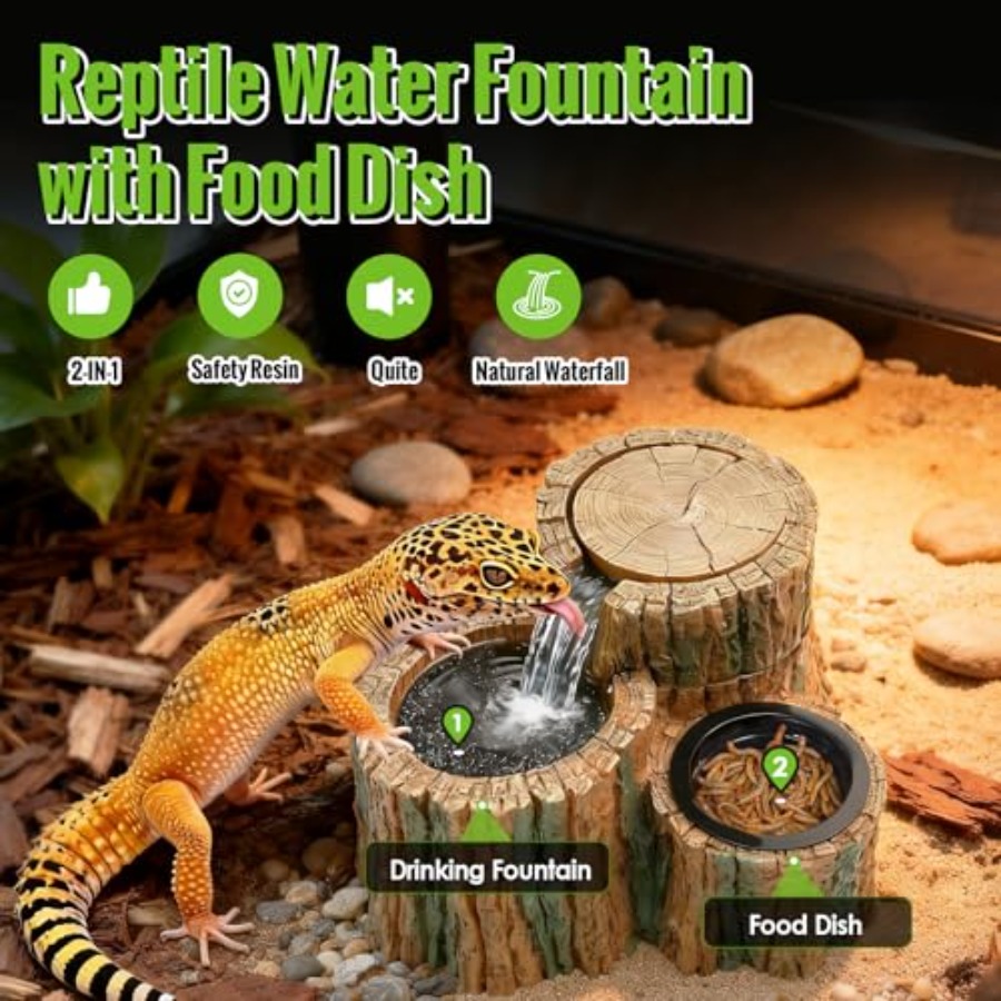 2 in 1 Reptile Water Fountain  - مراجعة Water Dish Reptile وسعره