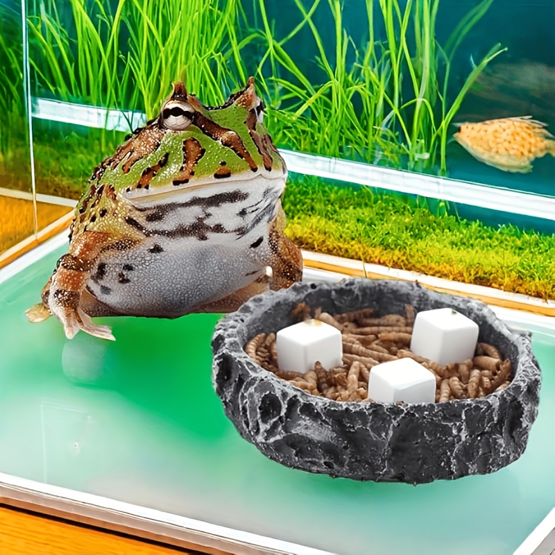 6 Pcs Fish Tank Calcium Block  - مراجعة Calcium Powder Reptile وسعره