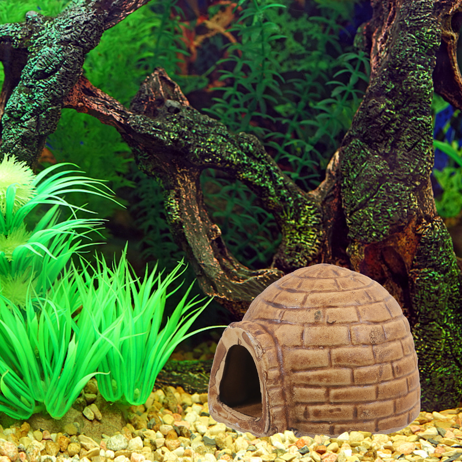 Ceramic Pleco Caves for Aquari - مراجعة Hide Cave Ceramic وسعره