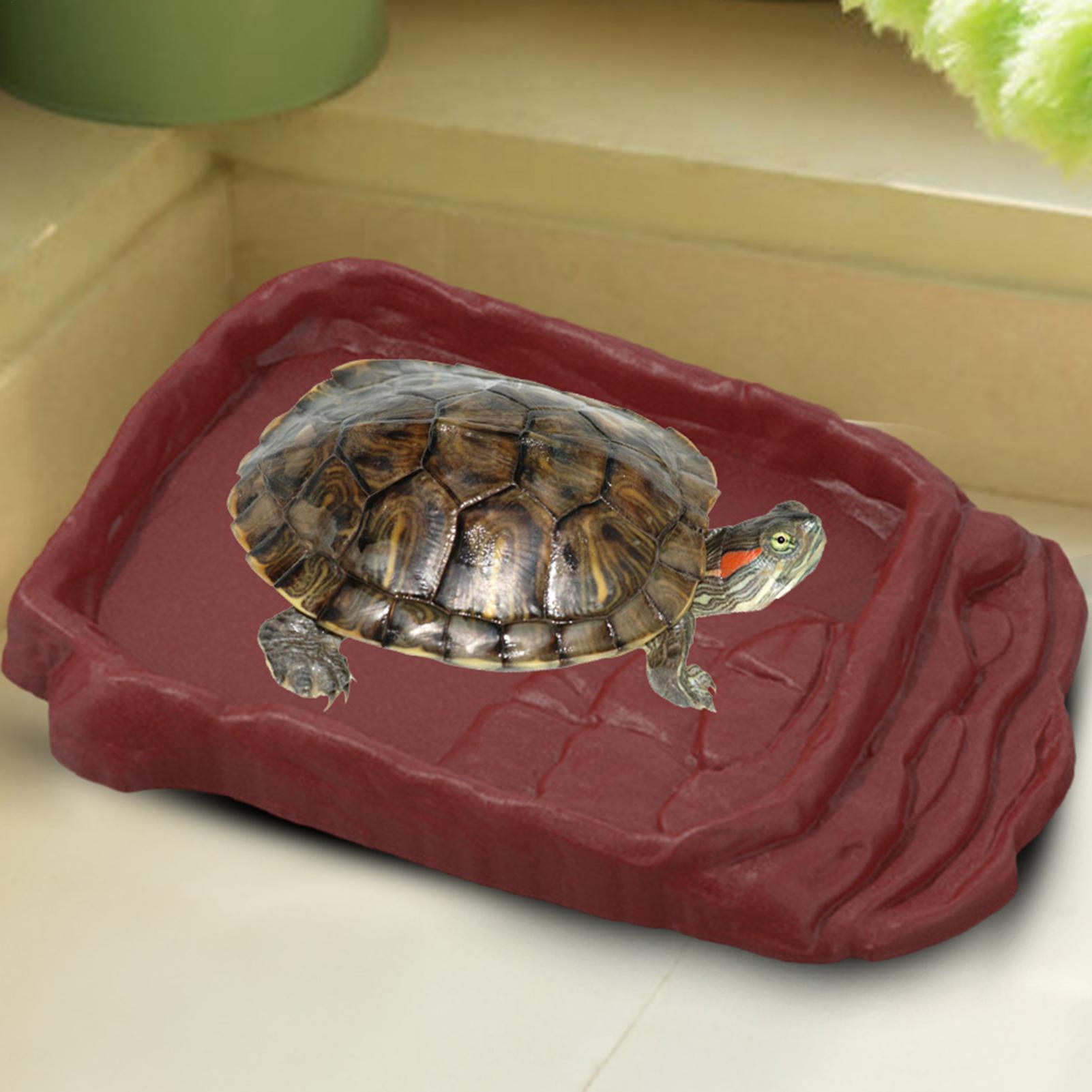 Anti-Slip Ladders Reptile Bowl - مراجعة Water Dish Reptile وسعره