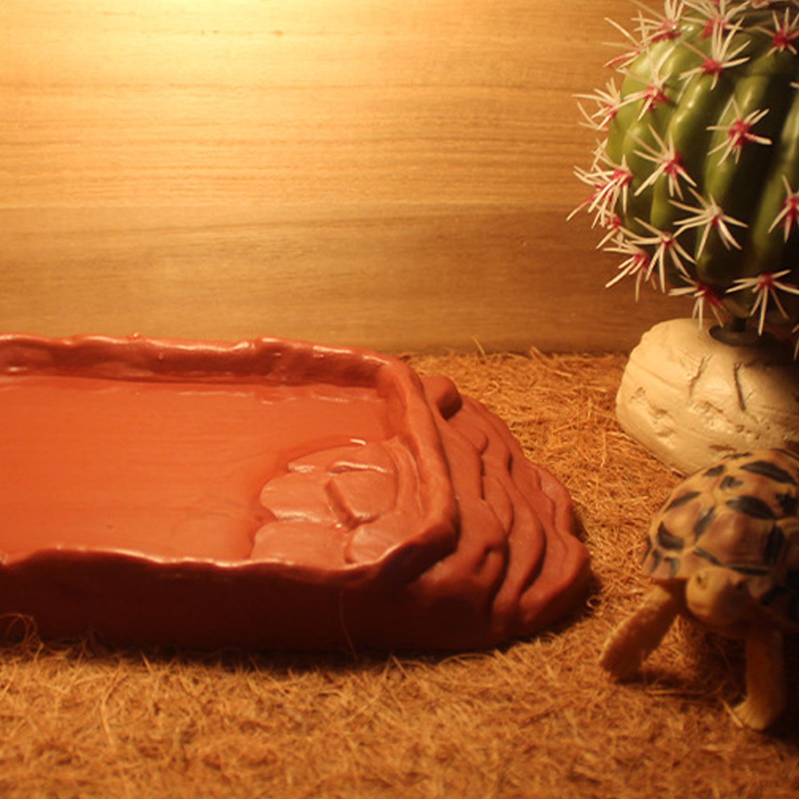 Anti-Slip Ladders Reptile Bowl - مراجعة Water Dish Reptile وسعره