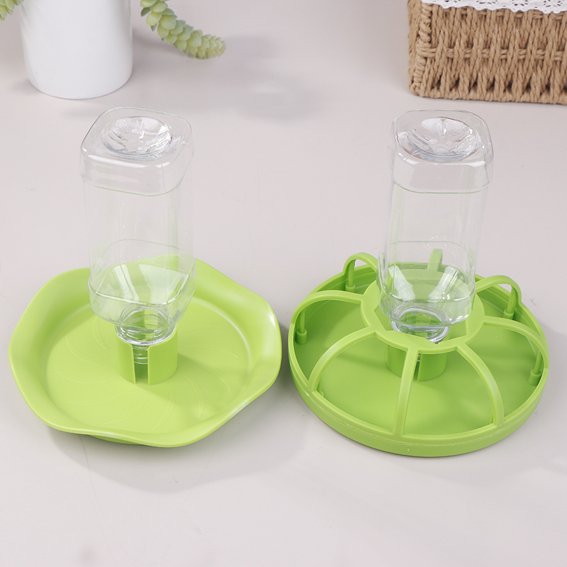 Reptile Water Drinker Dispense - مراجعة Water Dish Reptile وسعره